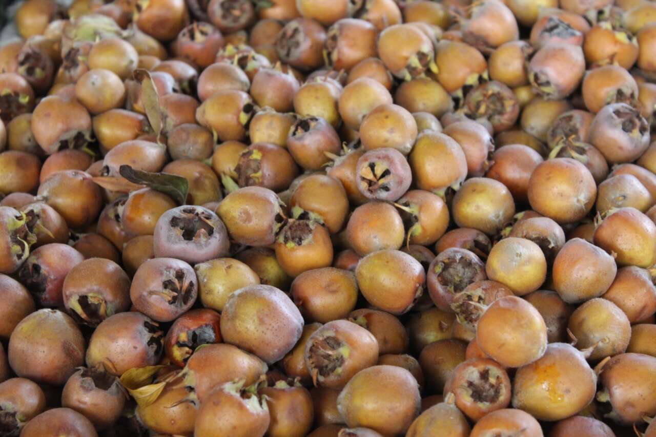 Az Biliniyor Ama Çok Faydalı: Muğla Tezgâhlarında Doğal Şifa Dağıtılıyor 2